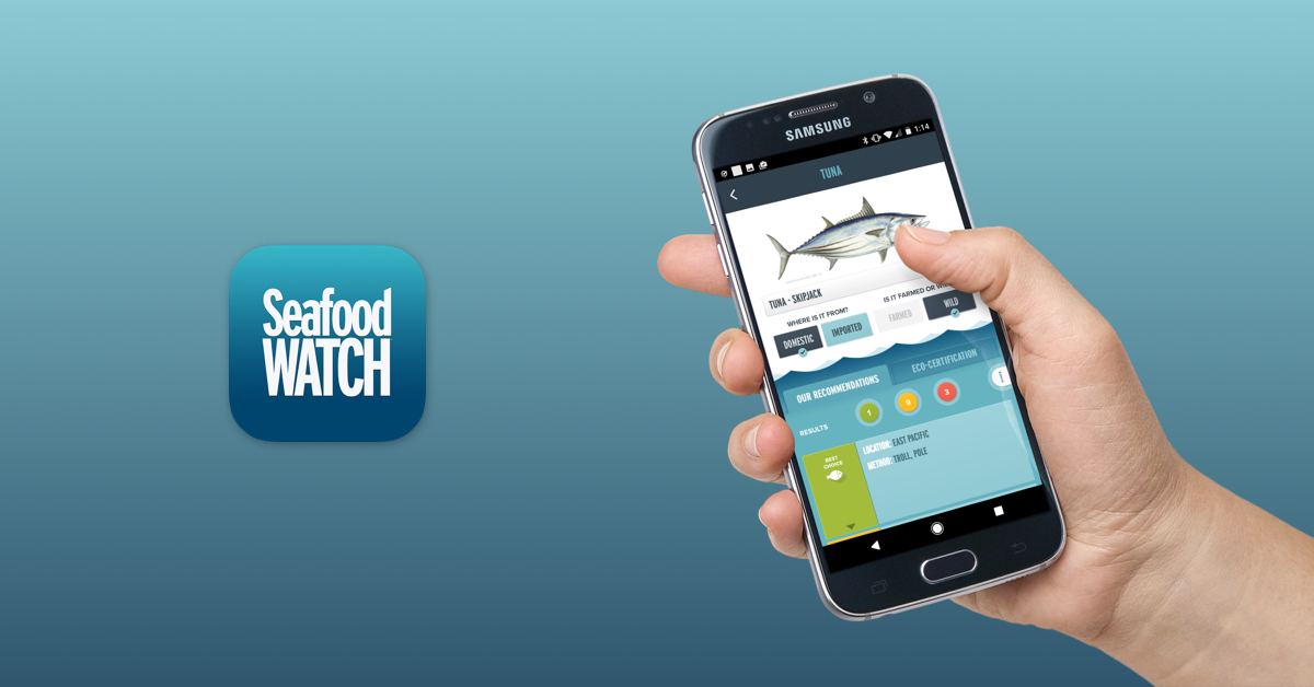 v2 seafoodwatch mock